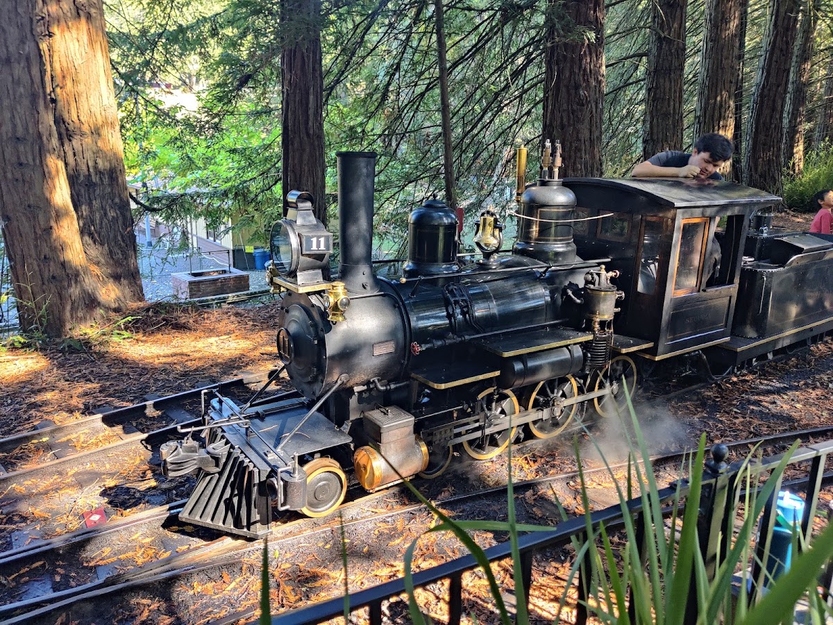 Tilden Park Steam Train at the Redwood Valley Railway photo 2