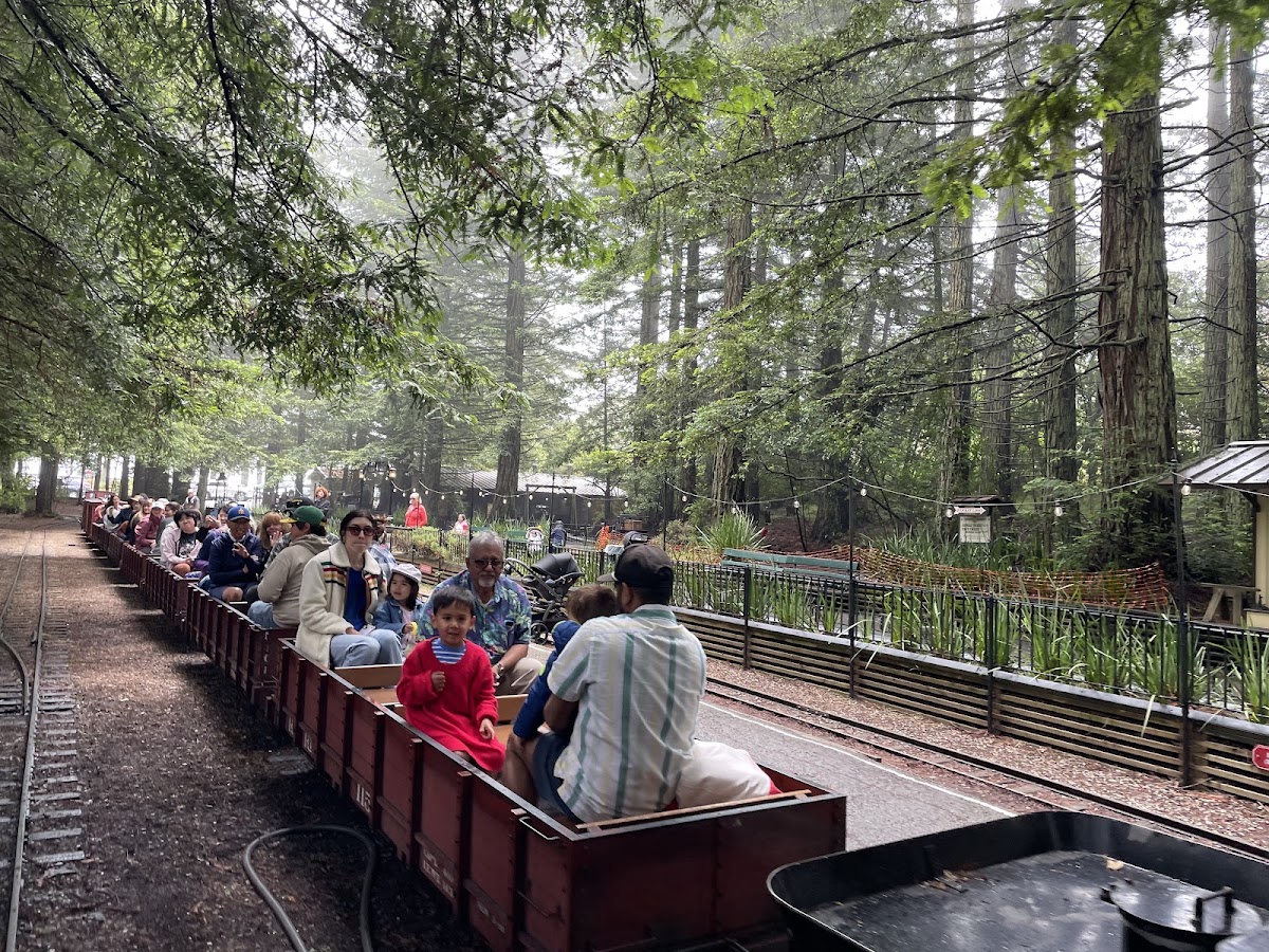 Tilden Park Steam Train at the Redwood Valley Railway photo 4