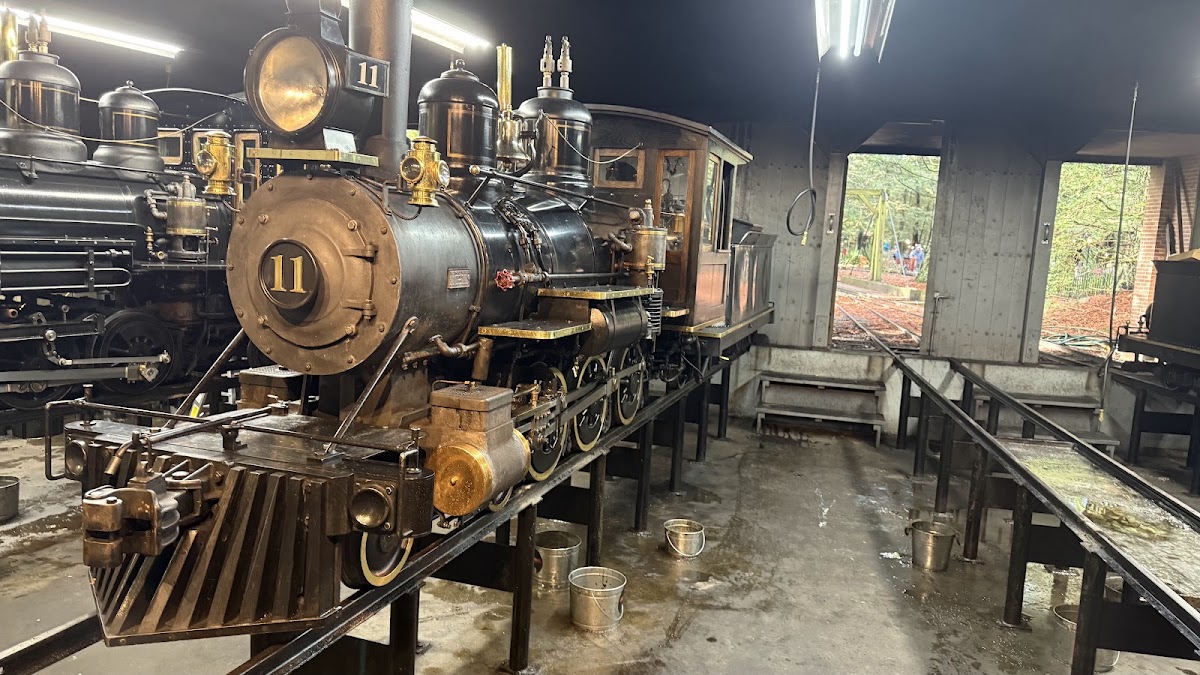 Tilden Park Steam Train at the Redwood Valley Railway photo 5