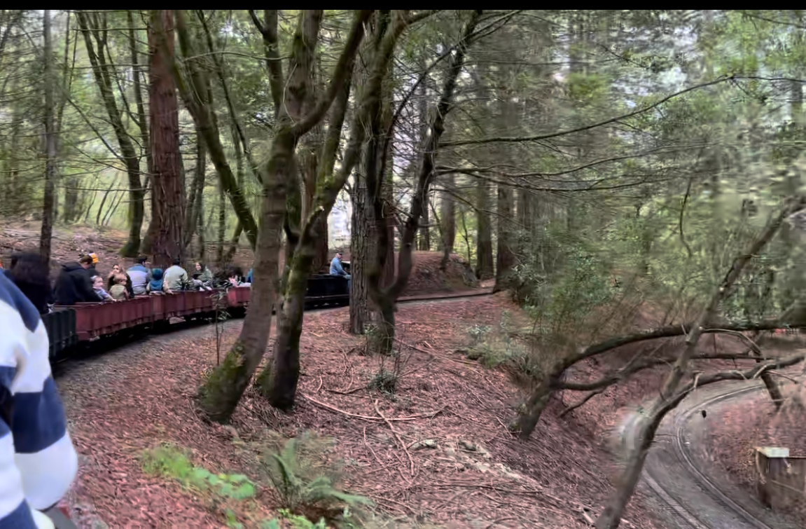 Tilden Park Steam Train at the Redwood Valley Railway photo 6