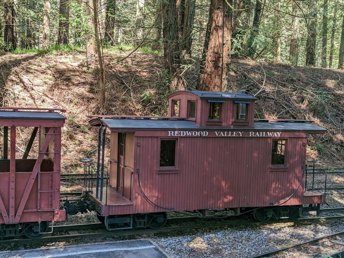 Tilden Park Steam Train at the Redwood Valley Railway photo 7