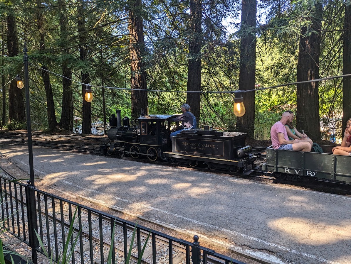 Tilden Park Steam Train at the Redwood Valley Railway photo 8
