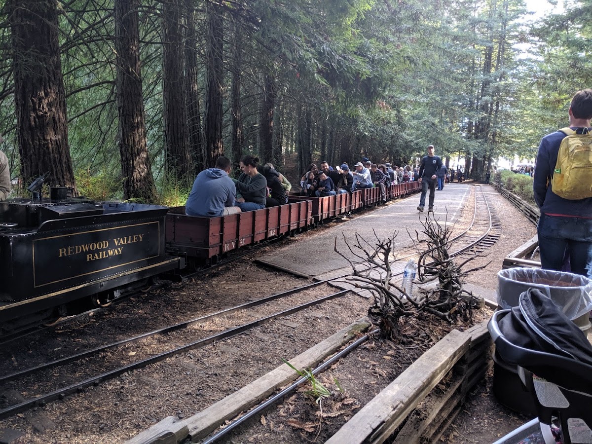 Tilden Park Steam Train at the Redwood Valley Railway photo 9