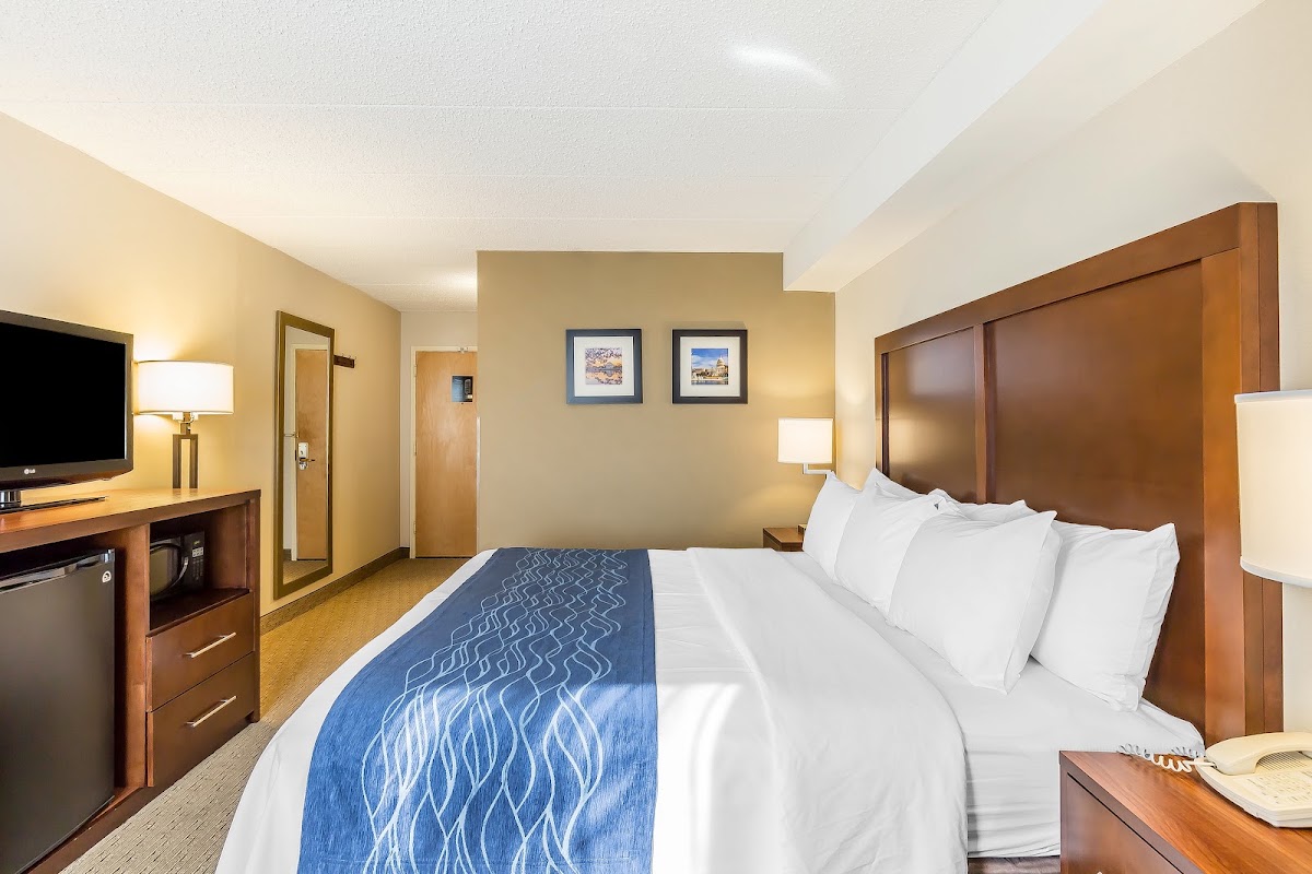 Comfort Inn Shady Grove - Gaithersburg - Rockville photo 2