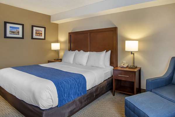 Comfort Inn Shady Grove - Gaithersburg - Rockville photo 5