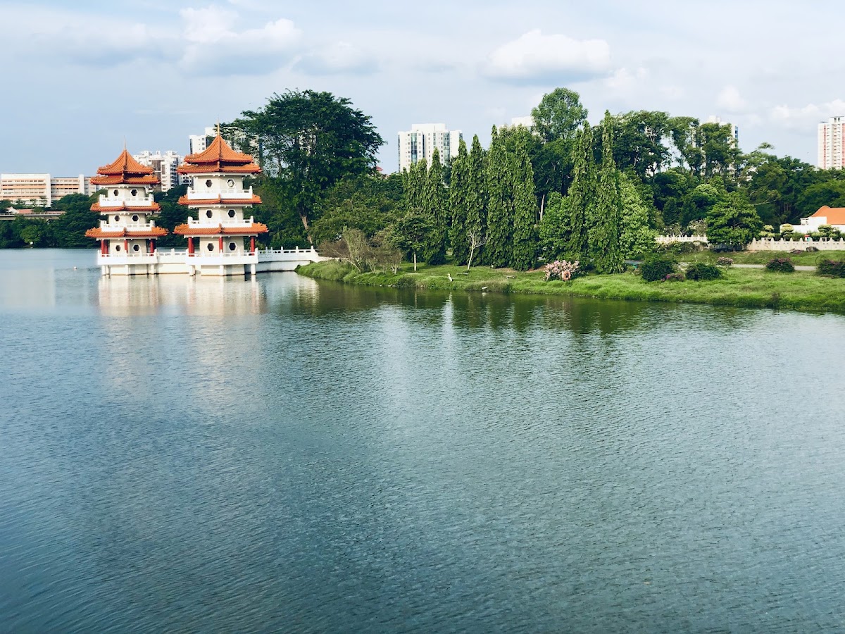 Jurong Lake Gardens photo 5