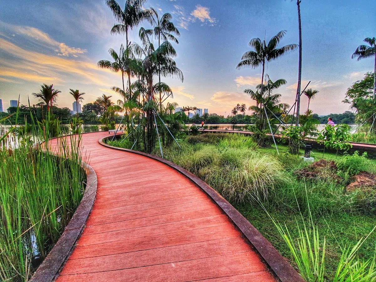 Jurong Lake Gardens photo 6