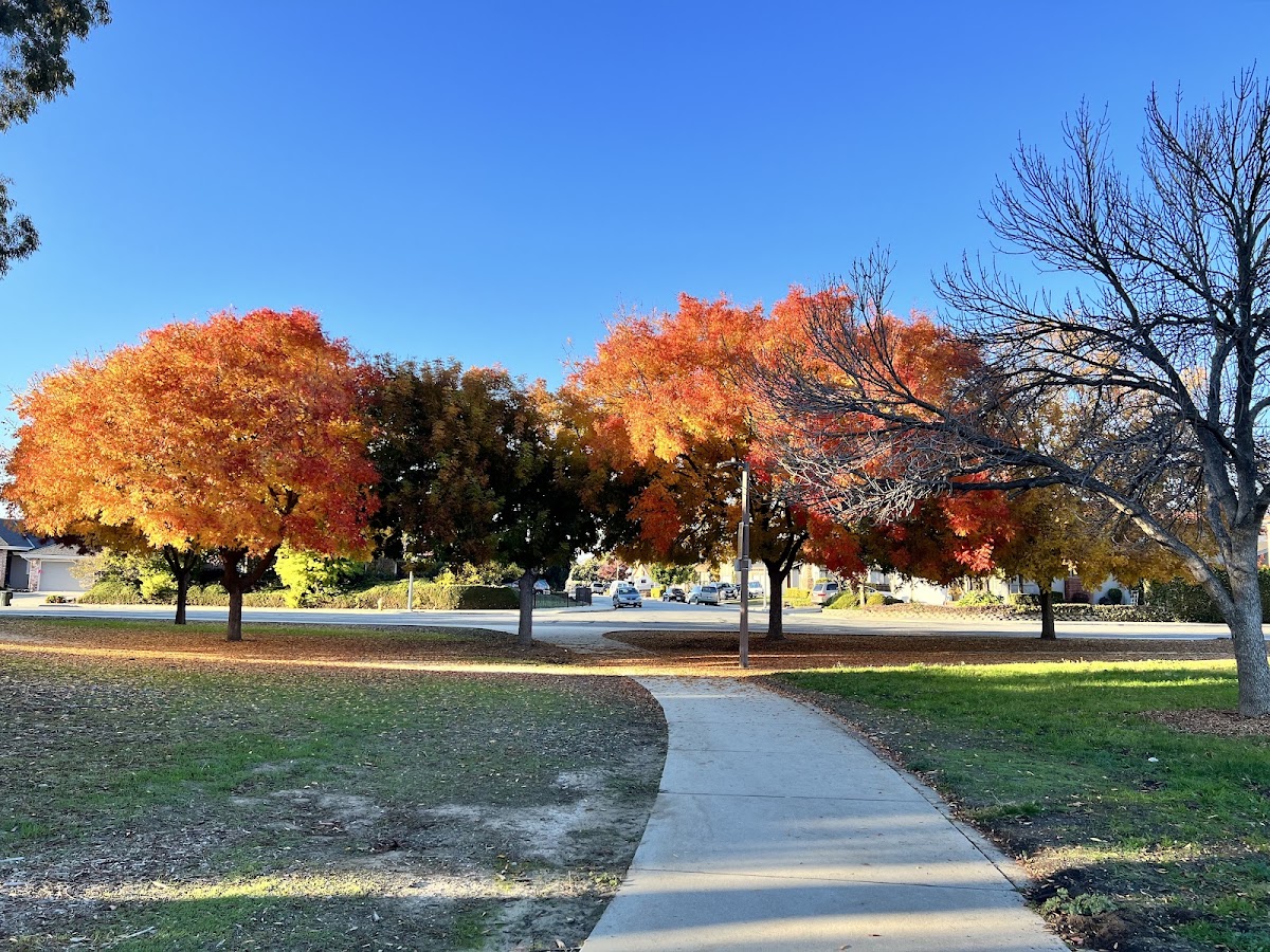 Cataldi Park photo 5