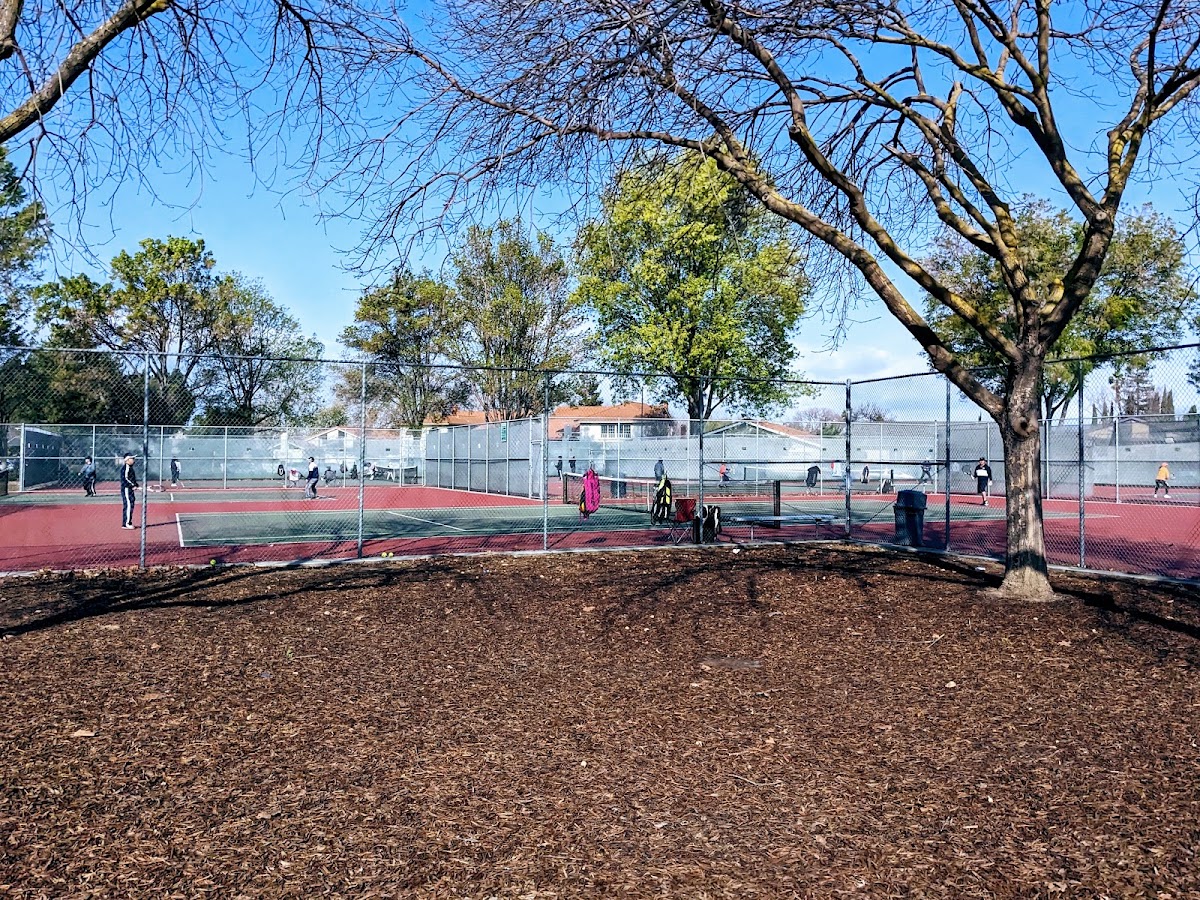 Cataldi Park photo 6