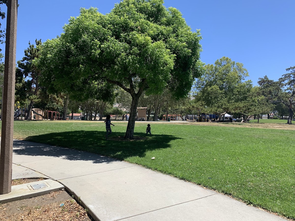 Cataldi Park photo 7