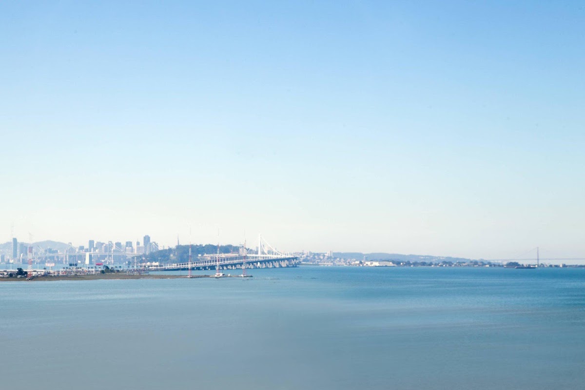 Sonesta Emeryville - San Francisco Bay Bridge photo 9