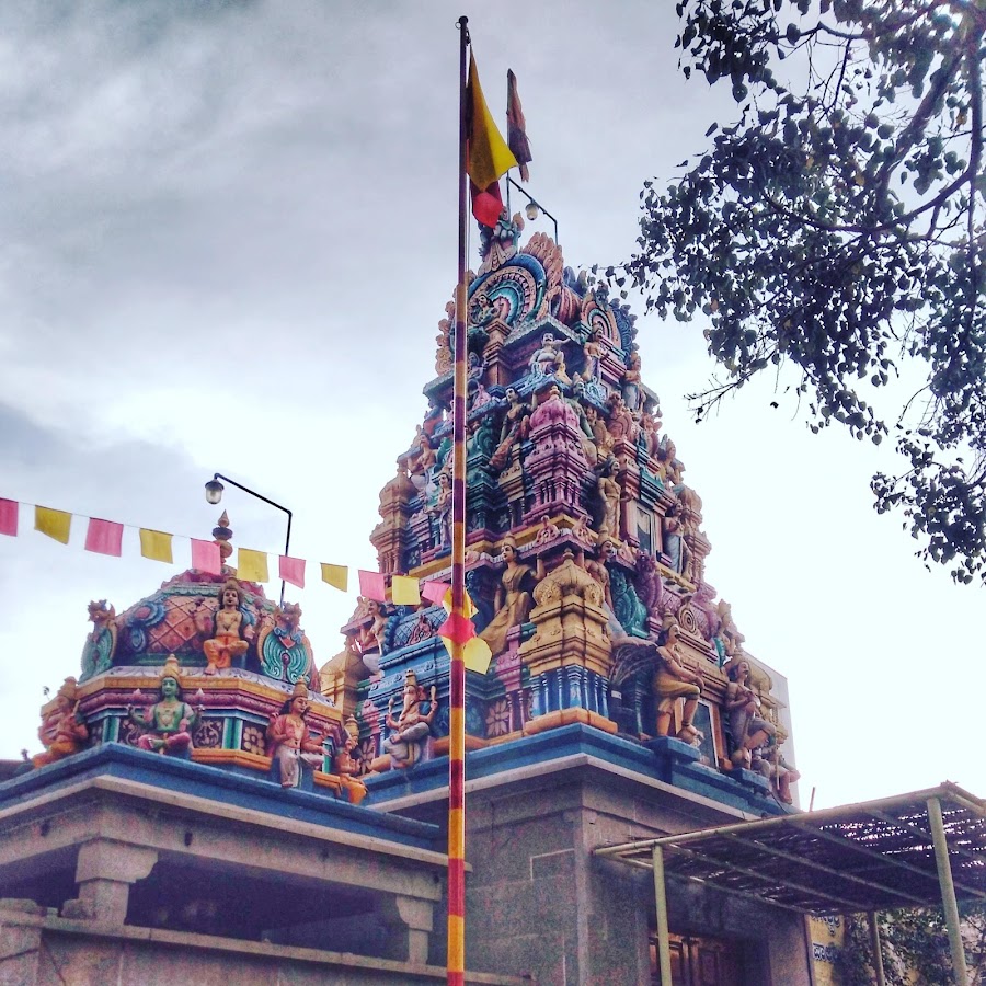 Shri Nagalingeshwara Swamy Temple photo 4