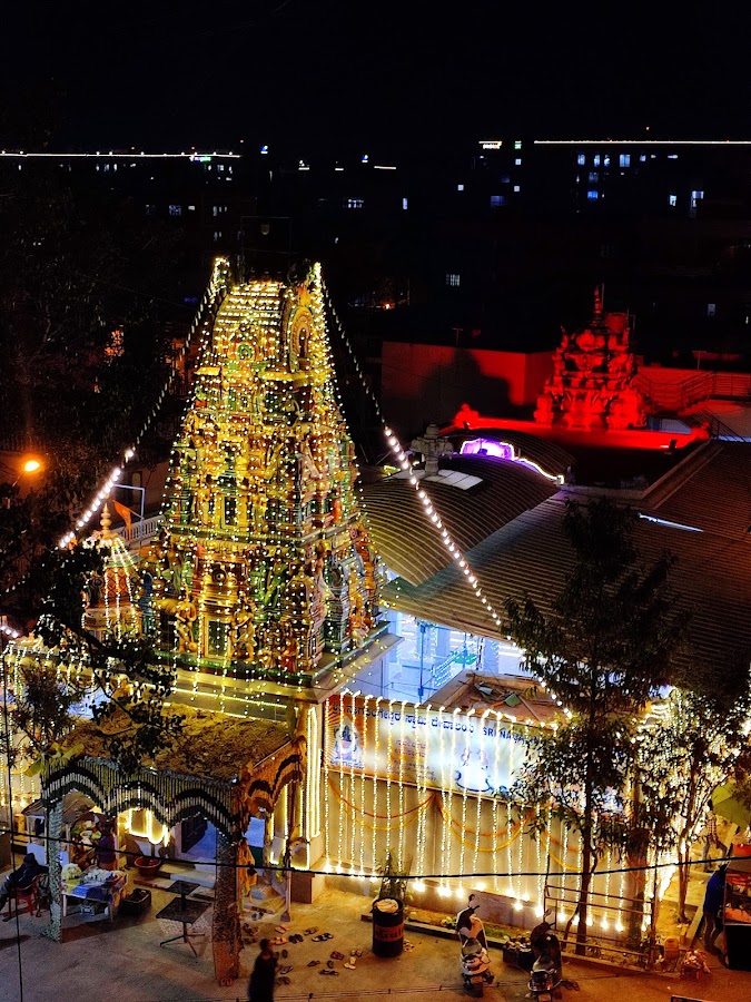 Shri Nagalingeshwara Swamy Temple photo 6