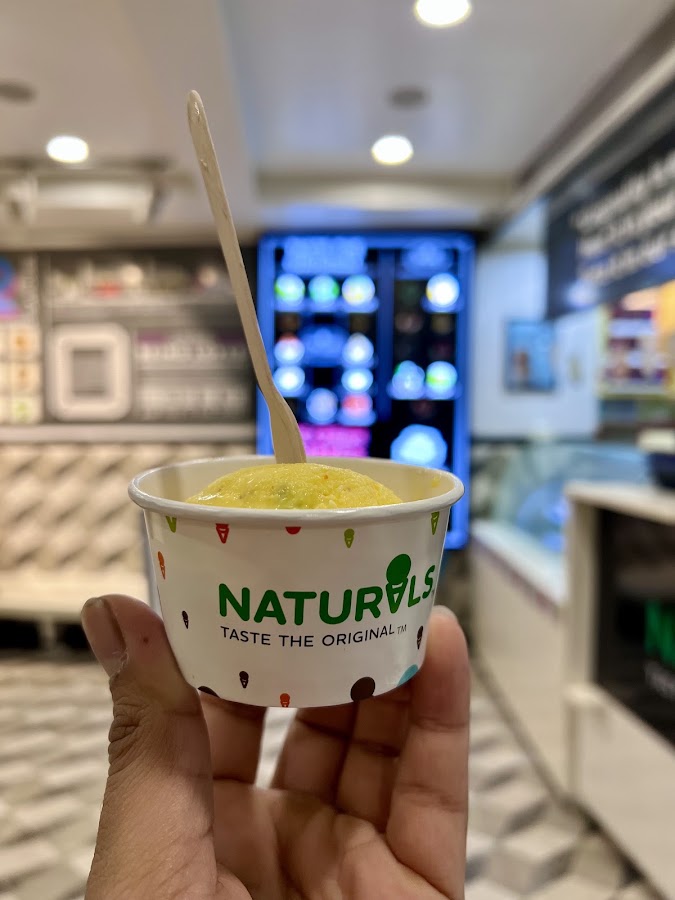 Naturals Ice Cream photo 2