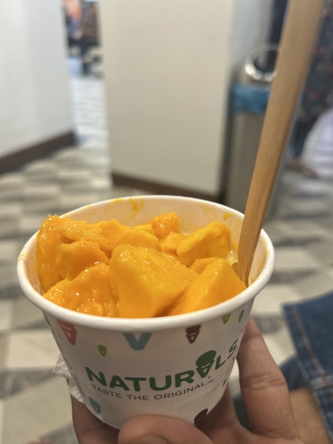 Naturals Ice Cream photo 8