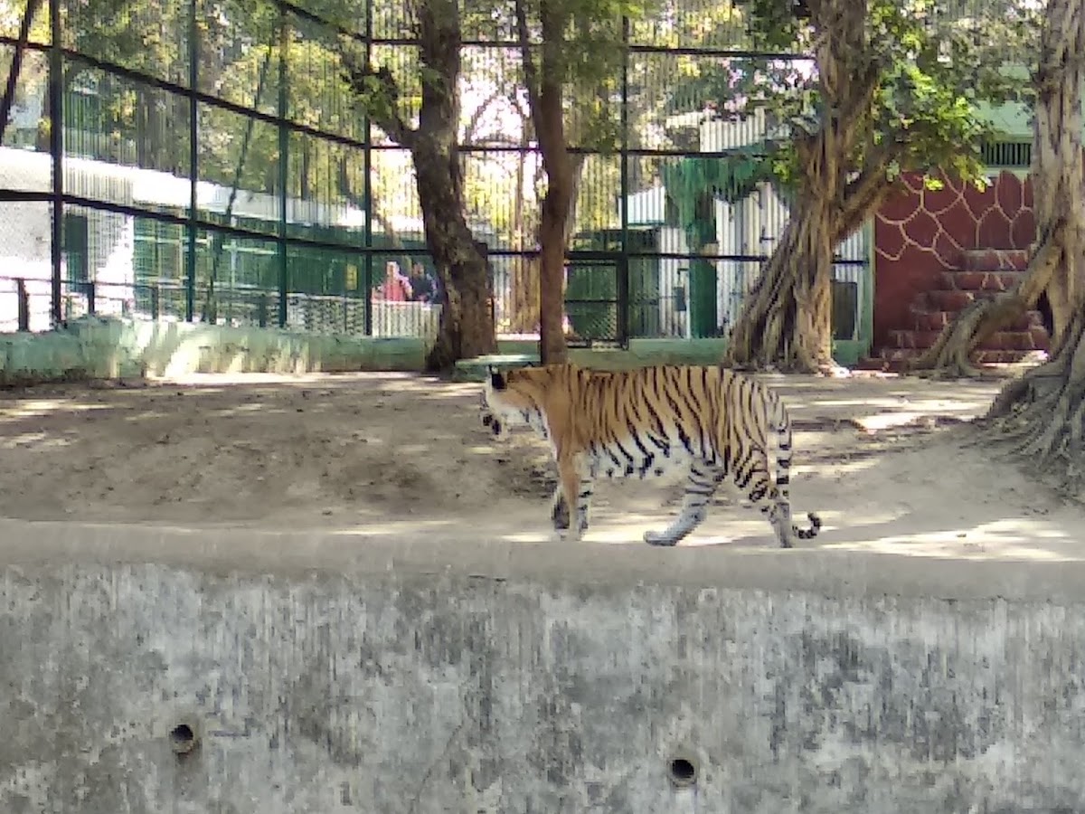 Kamla Nehru Zoological Garden photo 2