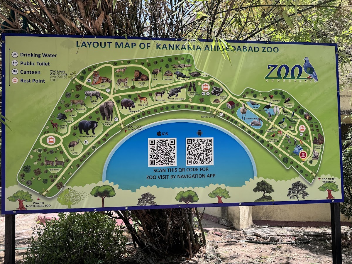 Kamla Nehru Zoological Garden photo 5