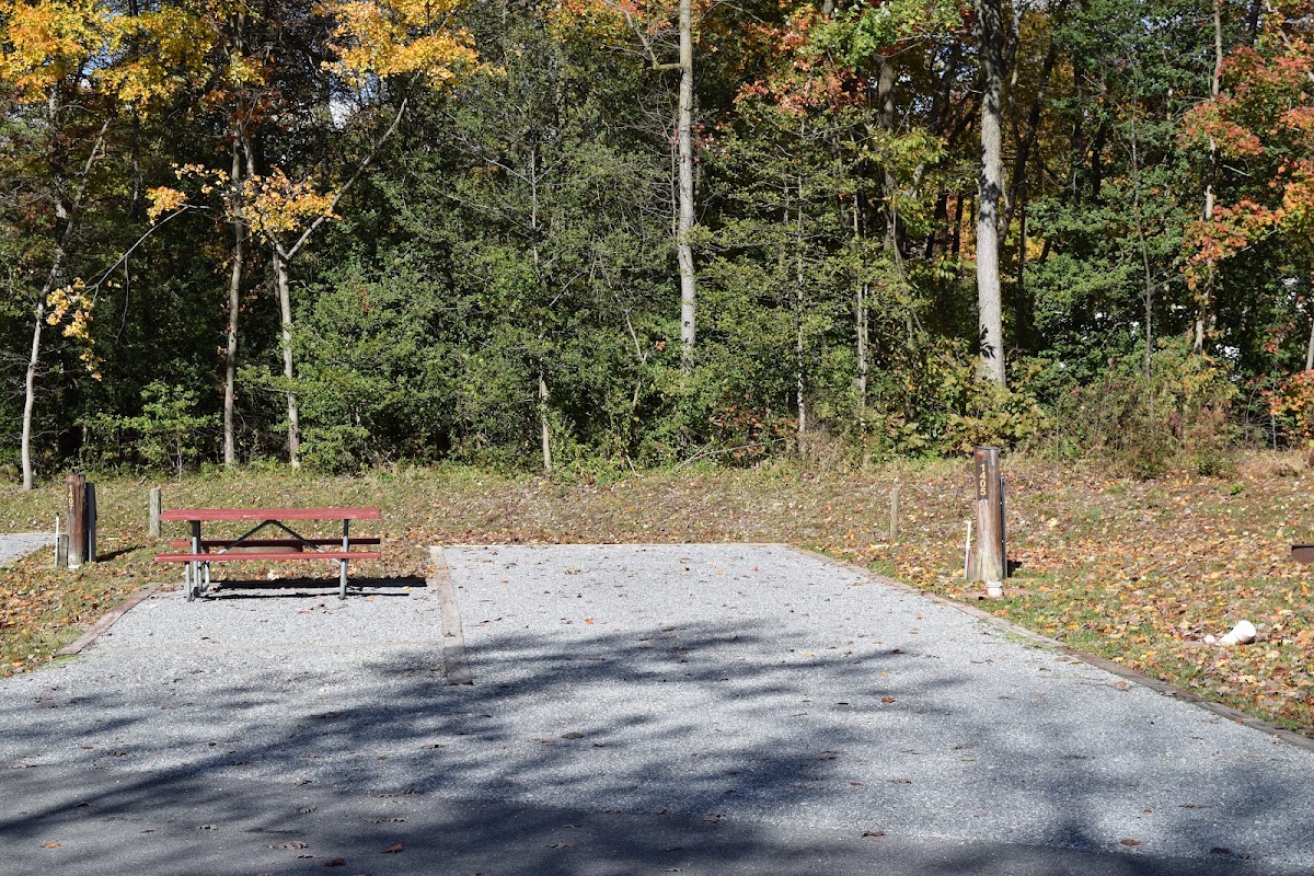 Cherry Hill Park photo 7