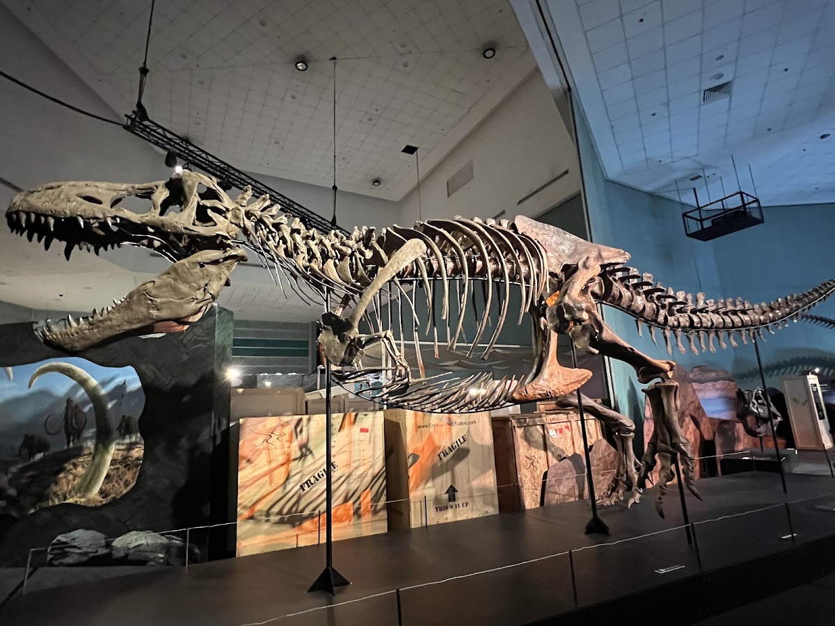 Science Centre Singapore photo 2