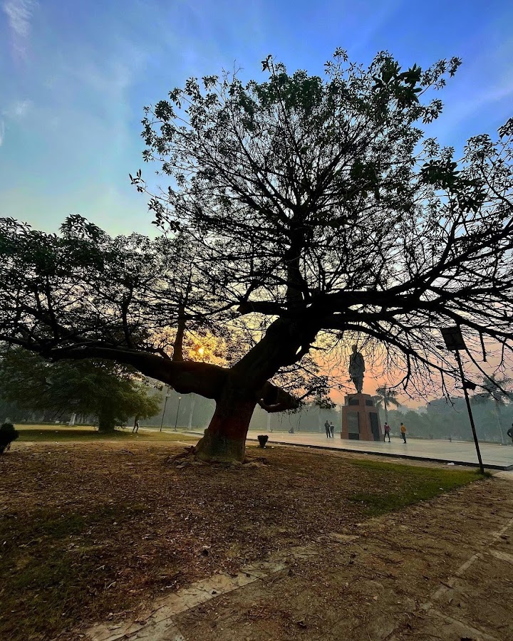 Dr Ram Manohar Lohia Park photo 5