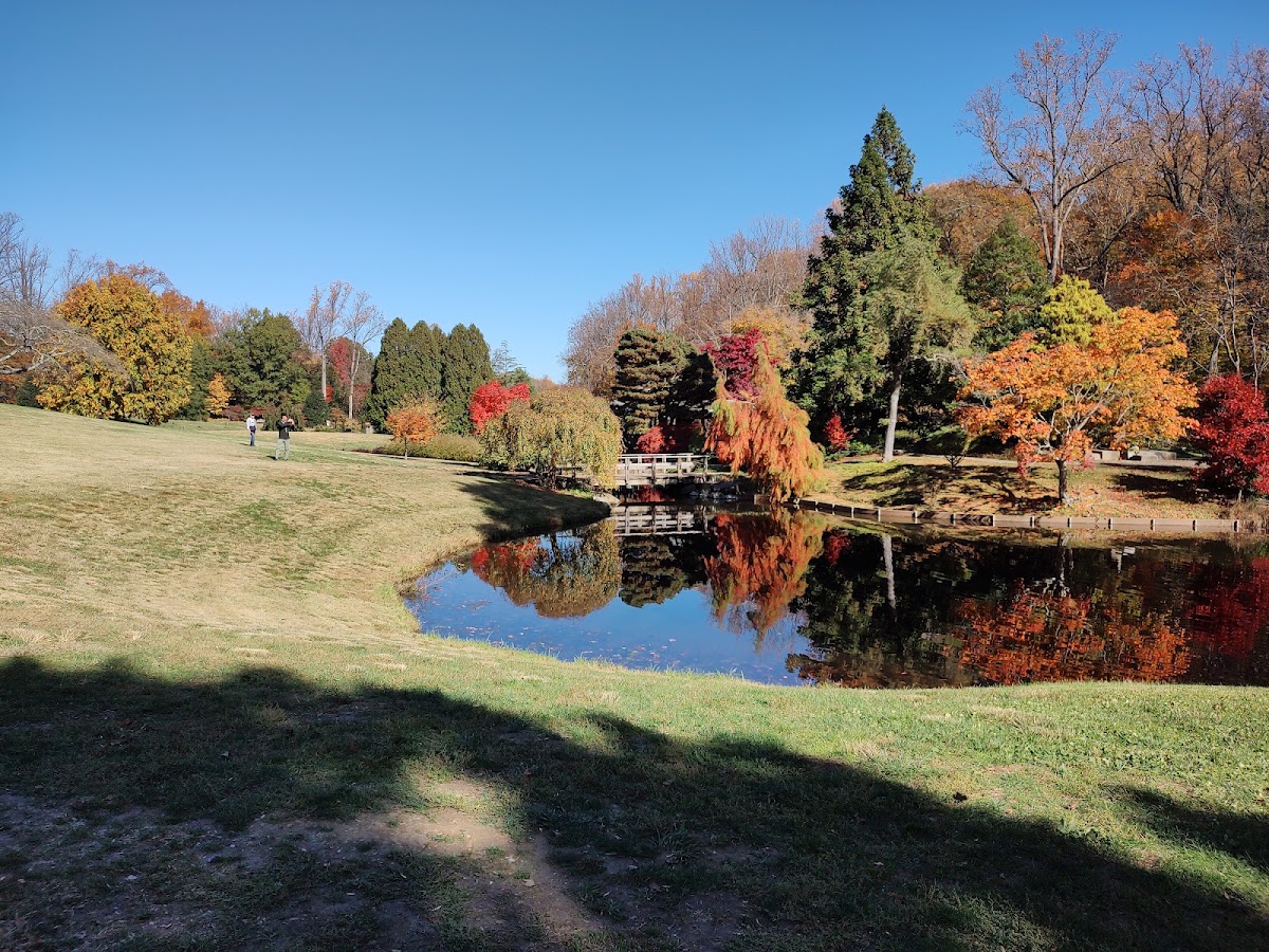 Wheaton Regional Park photo 3