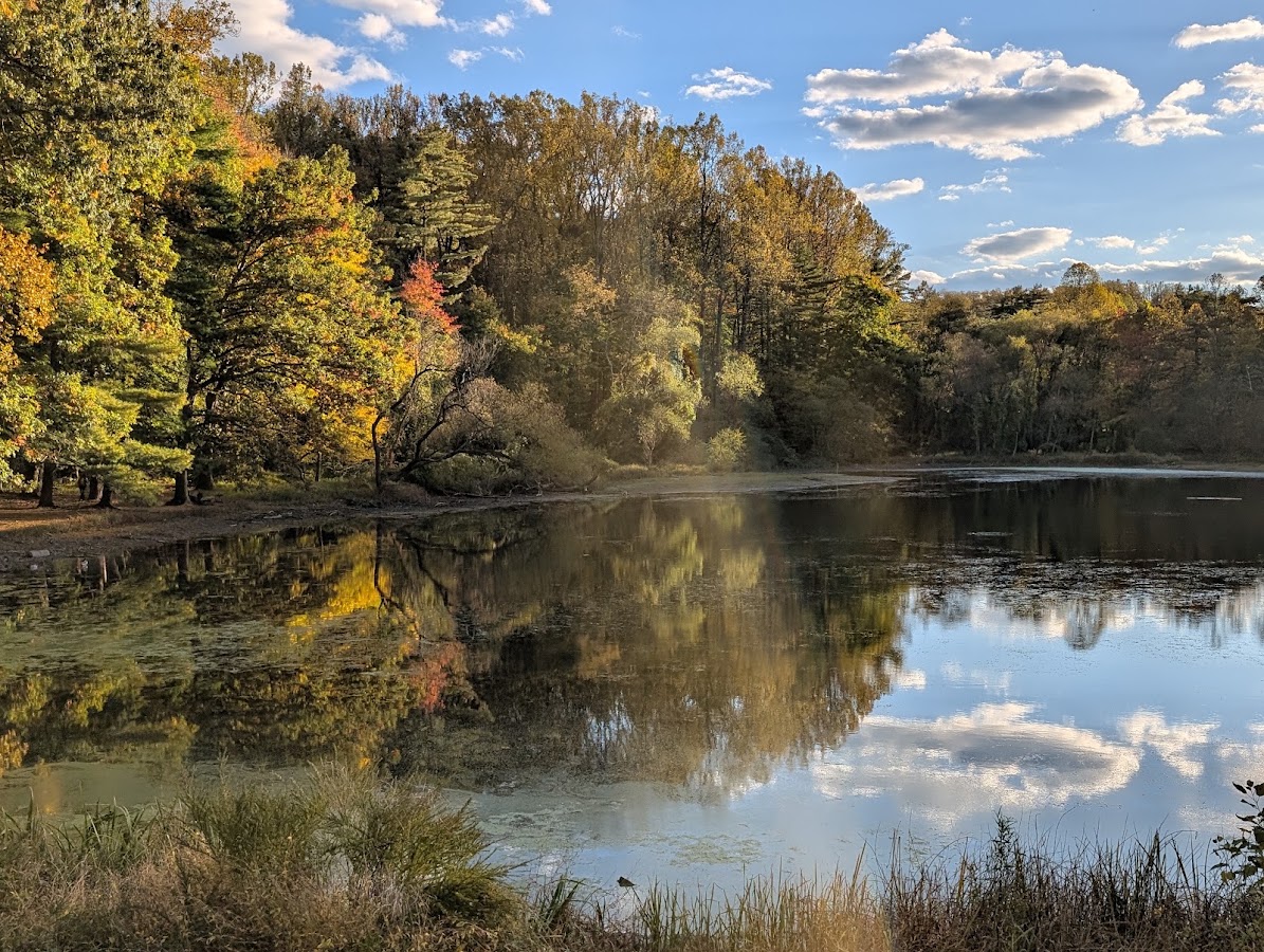 Wheaton Regional Park photo 4