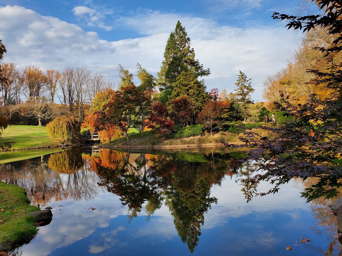 Wheaton Regional Park photo 5