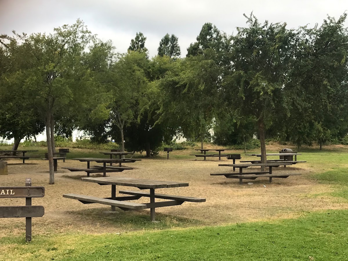 Martin Luther King Jr. Regional Shoreline photo 2