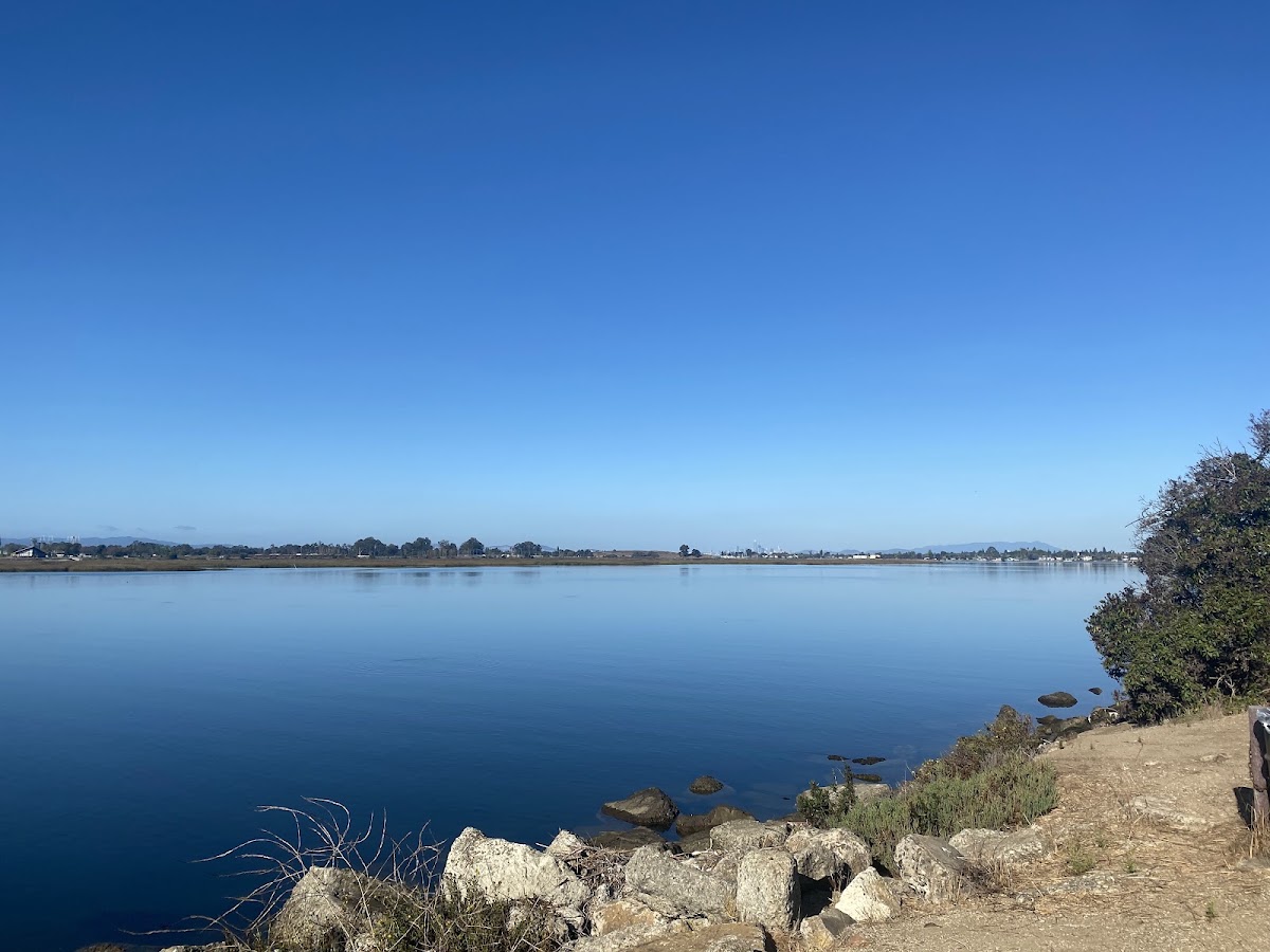 Martin Luther King Jr. Regional Shoreline photo 3