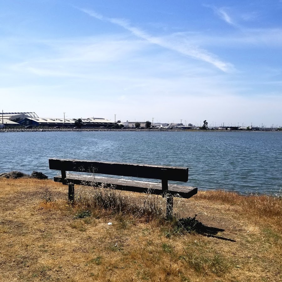 Martin Luther King Jr. Regional Shoreline photo 4