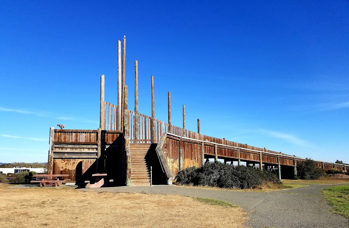 Martin Luther King Jr. Regional Shoreline photo 8