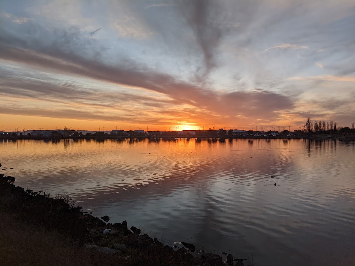 Martin Luther King Jr. Regional Shoreline photo 9