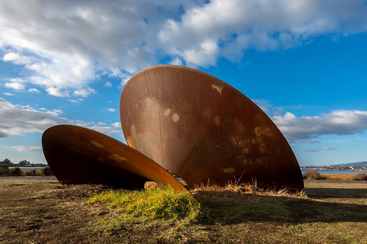 Martin Luther King Jr. Regional Shoreline photo 10