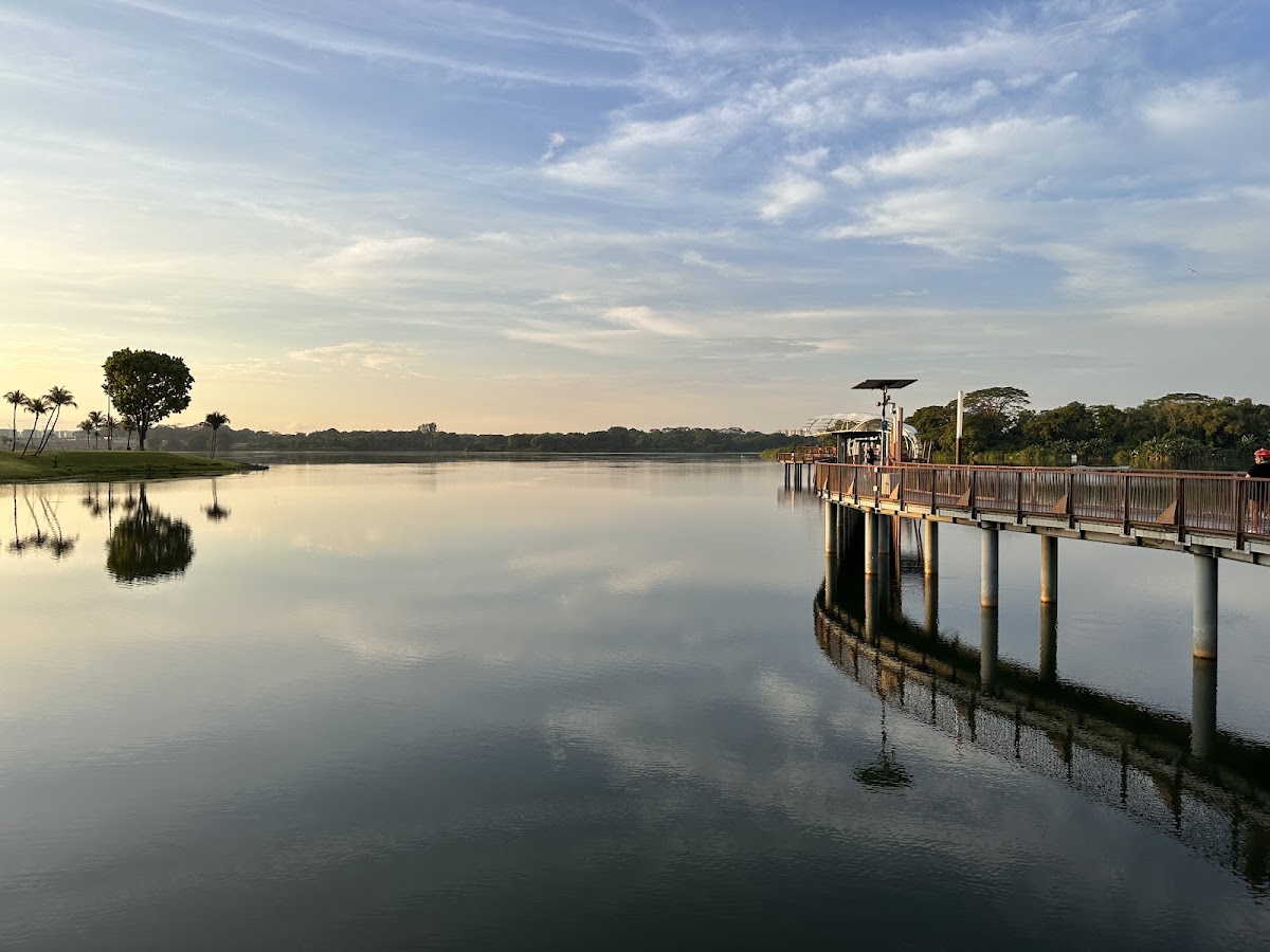 Lower Seletar Reservoir Park photo 7