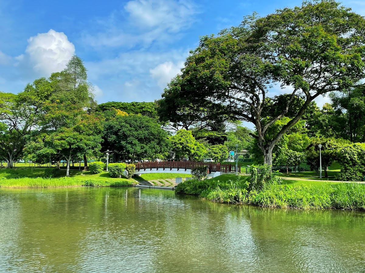 Lower Seletar Reservoir Park photo 8