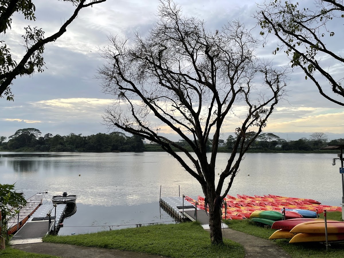 Lower Seletar Reservoir Park photo 9