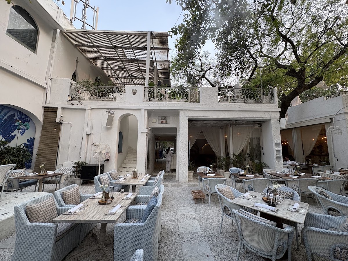 Olive Bar & Kitchen photo 4
