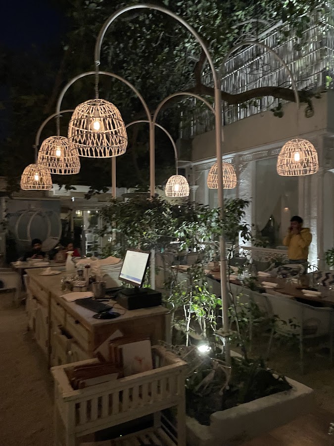 Olive Bar & Kitchen photo 9