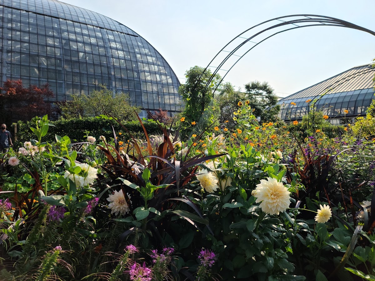 Garfield Park Conservatory photo 2