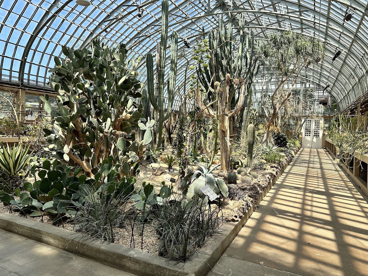 Garfield Park Conservatory photo 3