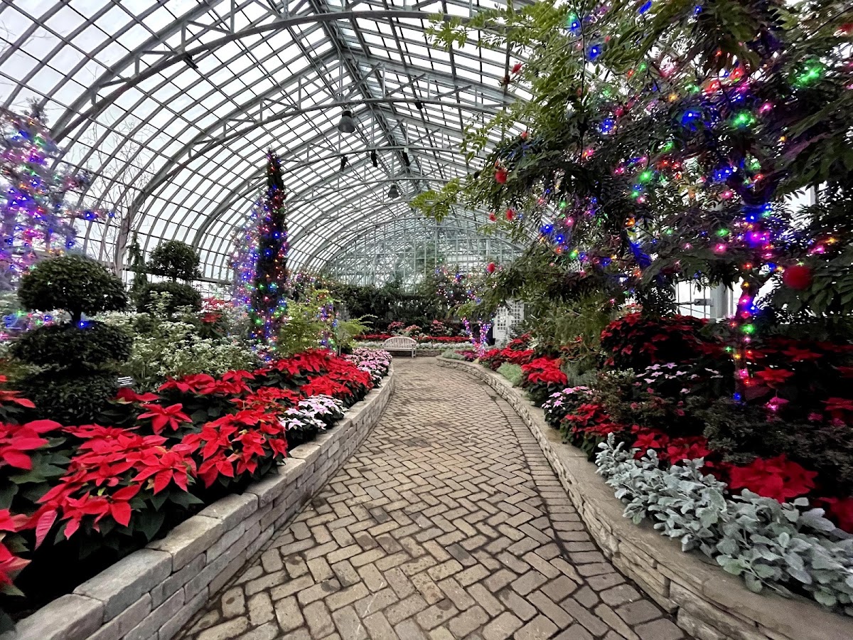 Garfield Park Conservatory photo 4