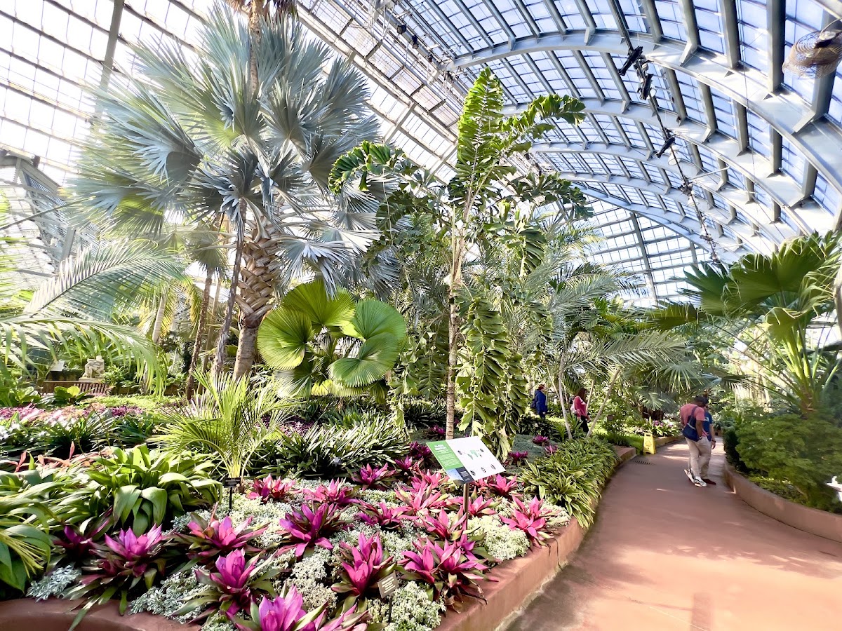 Garfield Park Conservatory photo 6