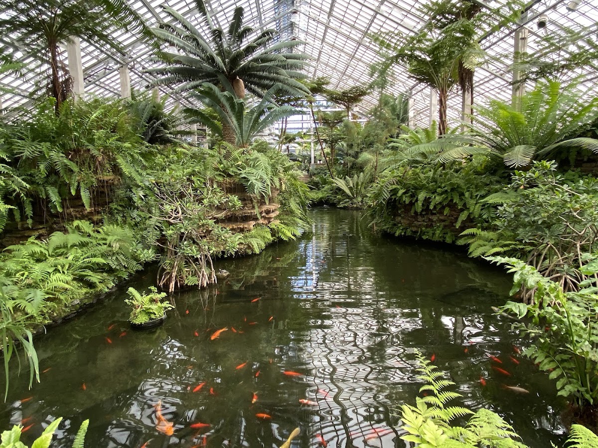 Garfield Park Conservatory photo 7