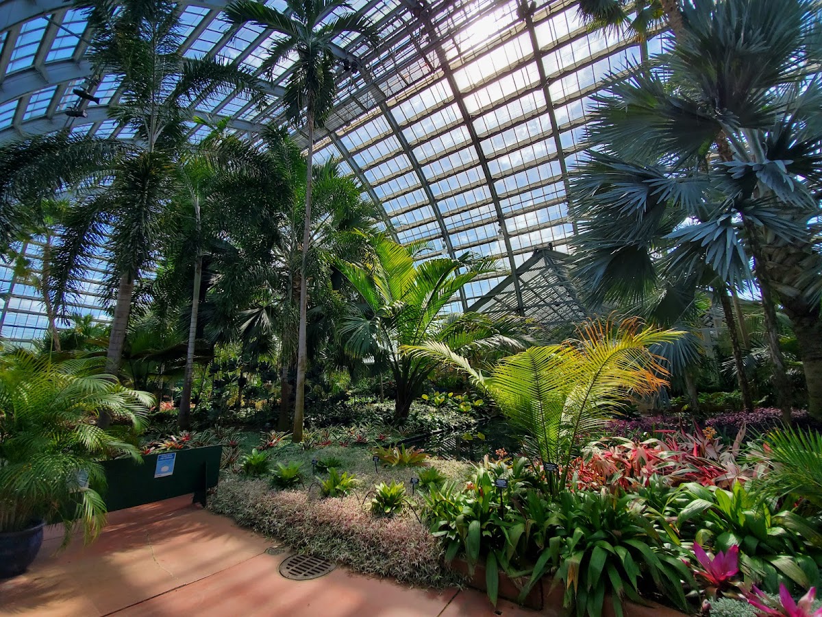 Garfield Park Conservatory photo 8