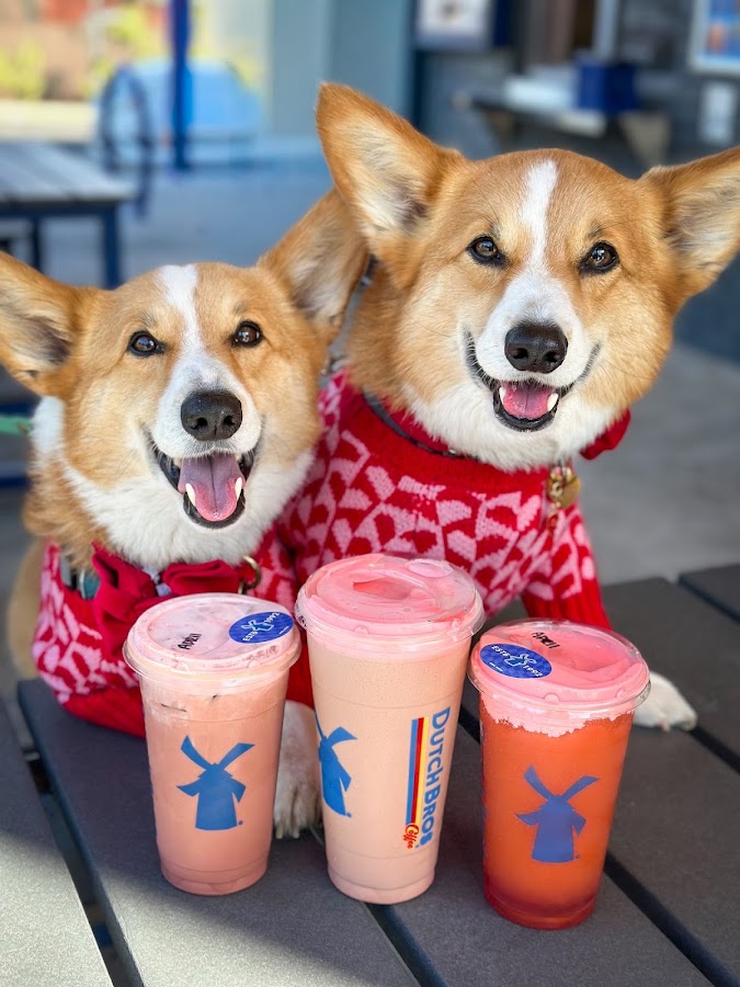 Dutch Bros Coffee photo 6