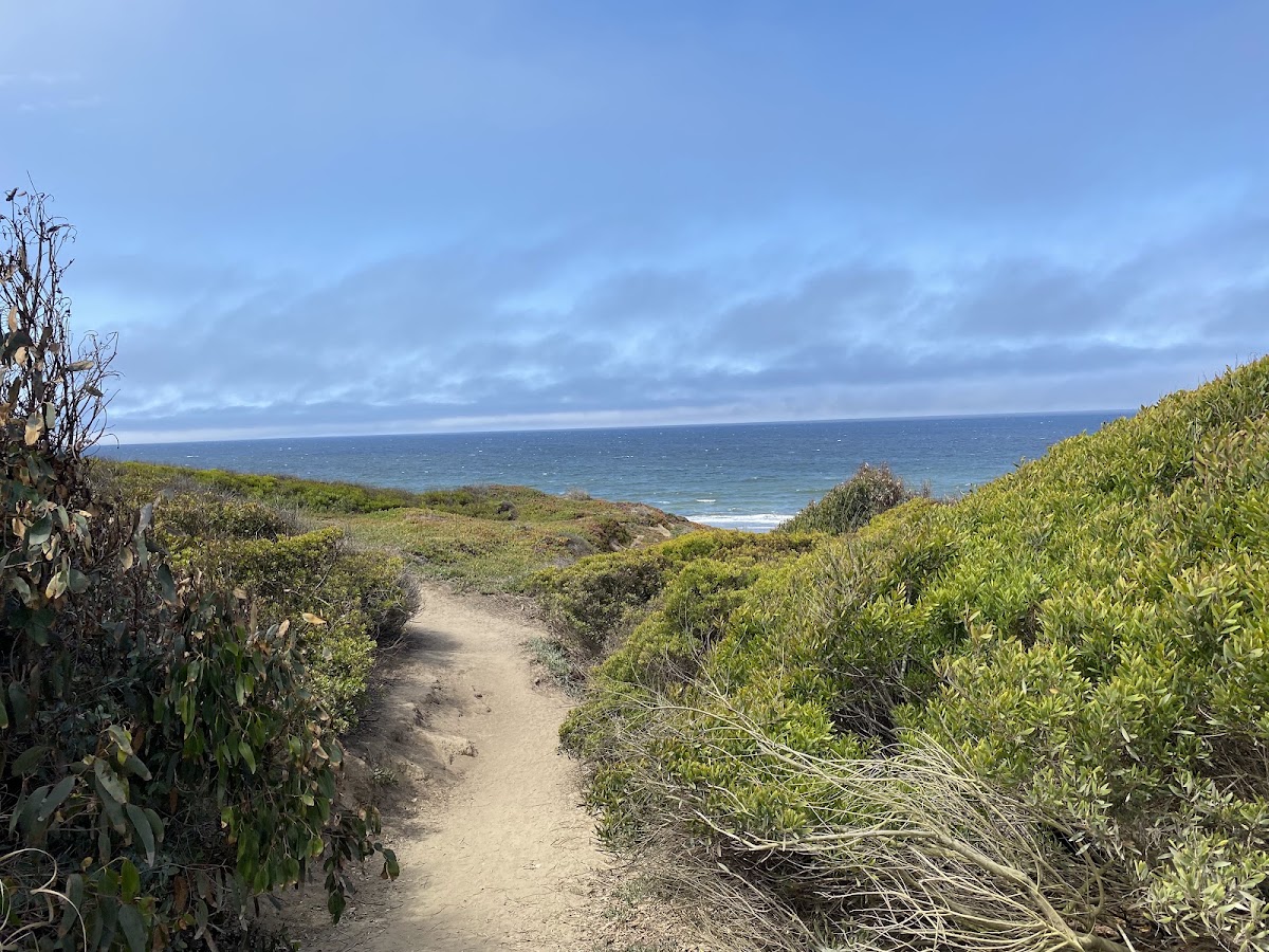 Fort Funston photo 5