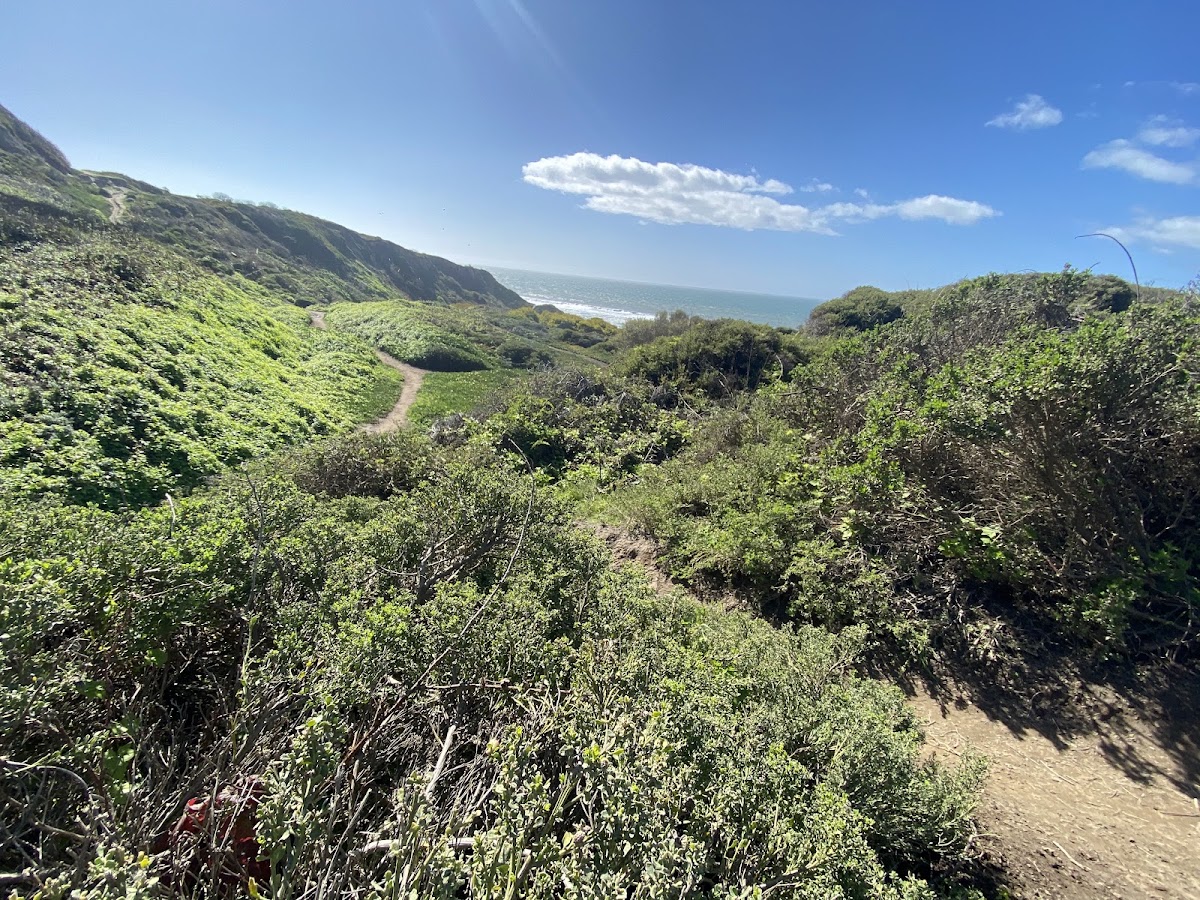 Fort Funston photo 8