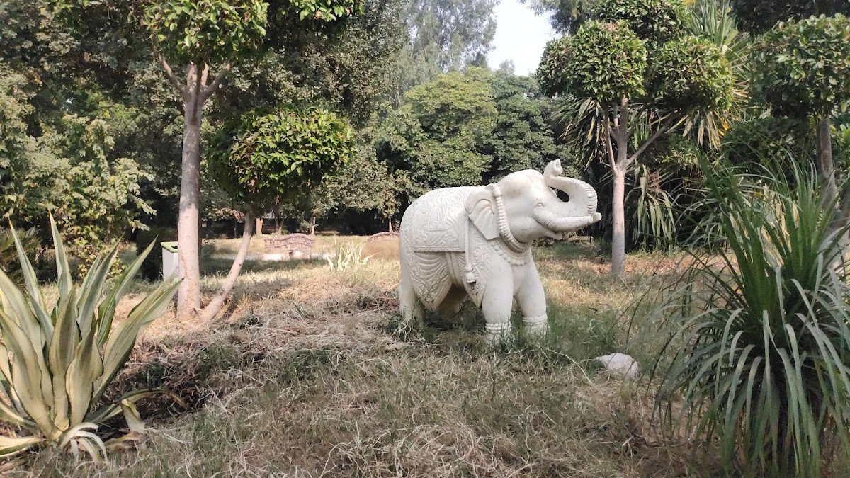 Leisure Valley Park photo 7