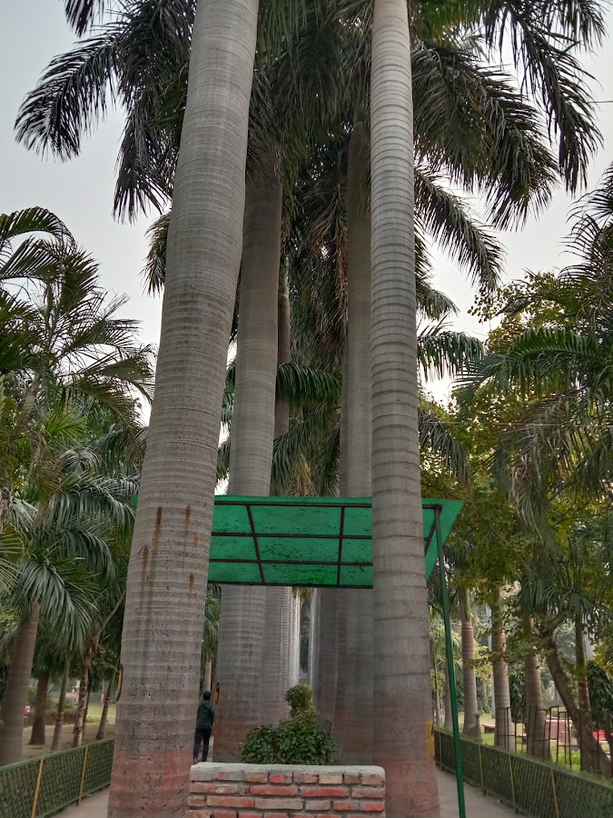 Madhav Park photo 2