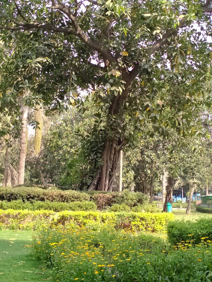 Madhav Park photo 7